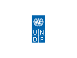 undp logo
