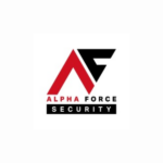 Alpha Force Securities Limited logo