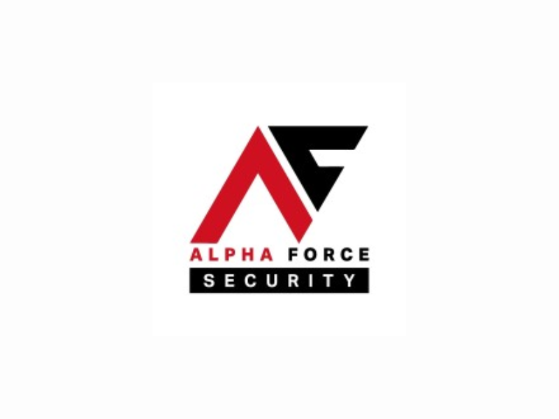alpha force security logo alpha force security logo